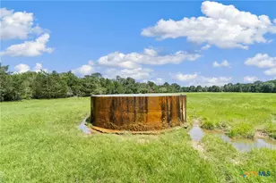 Tbd (Tracts 11 & 12) St Delight Rd, Paige, TX 78659 - Photo 30