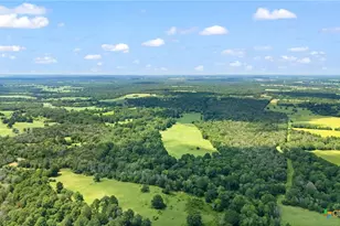 Tbd (Tracts 11 & 12) St Delight Rd, Paige, TX 78659 - Photo 8