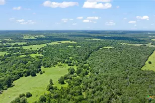 Tbd (Tracts 11 & 12) St Delight Rd, Paige, TX 78659 - Photo 42