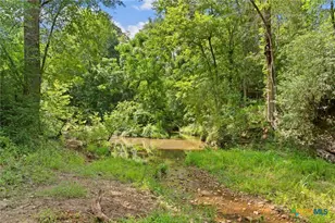 Tbd (Tracts 11 & 12) St Delight Rd, Paige, TX 78659 - Photo 4