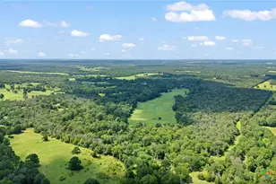 Tbd (Tracts 11 & 12) St Delight Rd, Paige, TX 78659 - Photo 38