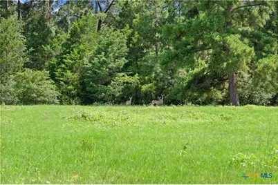 Tbd (Tracts 11 & 12) St Delight Road, Paige, TX 78659 - Photo 2