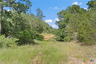 Tbd (Tracts 11 & 12) St Delight Rd, Paige, TX 78659 - Photo 34
