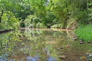 Tbd (Tracts 11 & 12) St Delight Rd, Paige, TX 78659 - Photo 20
