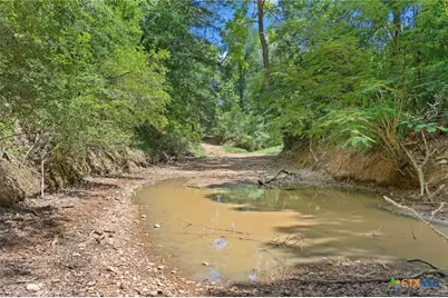 Tbd (Tracts 11 & 12) St Delight Road, Paige, TX 78659 - Photo 16