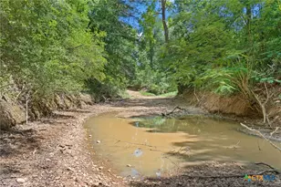 Tbd (Tracts 11 & 12) St Delight Rd, Paige, TX 78659 - Photo 16