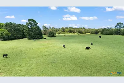 Tbd (Tracts 11 & 12) St Delight Road, Paige, TX 78659 - Photo 32