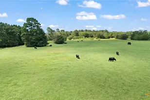 Tbd (Tracts 11 & 12) St Delight Rd, Paige, TX 78659 - Photo 32