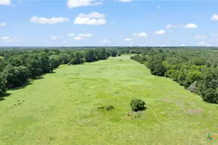 Tbd (Tracts 11 & 12) St Delight Rd, Paige, TX 78659 - Photo 26