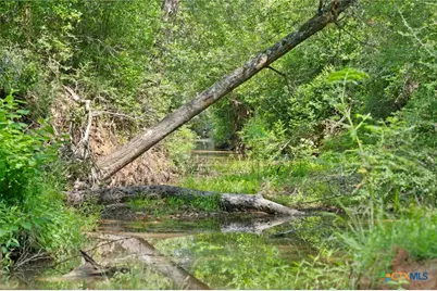 Tbd (Tracts 11 & 12) St Delight Road, Paige, TX 78659 - Photo 36