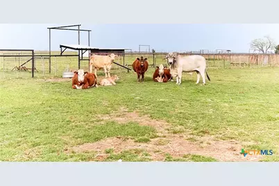 973 County Road 130, Gatesville, TX 76528 - Photo 38