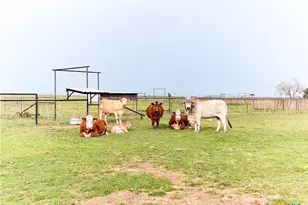 973 Co Rd 130, Gatesville, TX 76528 - Photo 38