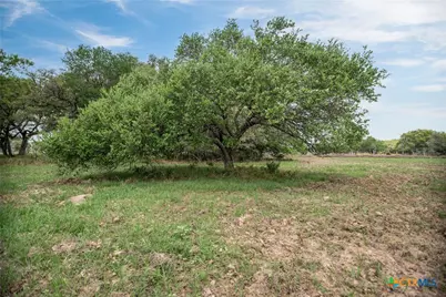 352 Cr 1301 Street, Edna, TX 77957 - Photo 26