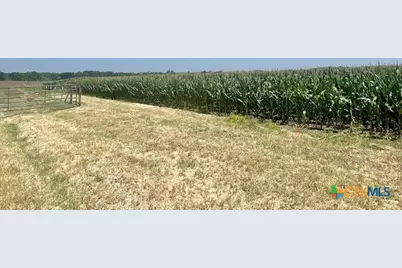 1117 County Road 423, Taylor, TX 76574 - Photo 10