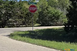 343 Falconwood Dr, San Marcos, TX 78666 - Photo 1