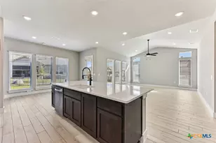 308 Olive Blossom Trl, San Marcos, TX 78666 - Photo 12