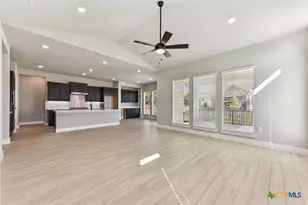 308 Olive Blossom Trl, San Marcos, TX 78666 - Photo 8
