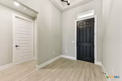 308 Olive Blossom Trail, San Marcos, TX 78666 - Photo 4
