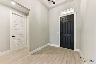 308 Olive Blossom Trl, San Marcos, TX 78666 - Photo 4