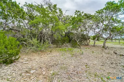 980 Scarlett Ridge Drive, Bulverde, TX 78163 - Photo 4