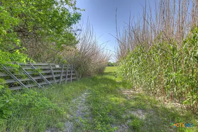 000 Fm-1984, Maxwell, TX 78656 - Photo 4