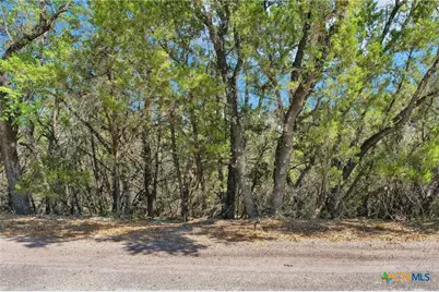 4005 Cooper Lane, Lago Vista, TX 78645 - Photo 2