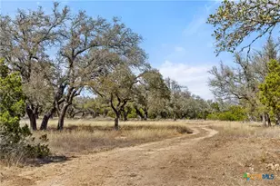 727 Becker Rd, Johnson City, TX 78636 - Photo 12