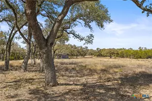 727 Becker Rd, Johnson City, TX 78636 - Photo 2