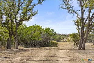 727 Becker Rd, Johnson City, TX 78636 - Photo 4