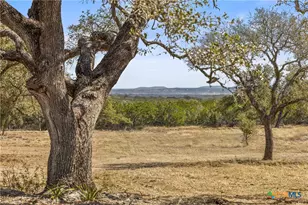 727 Becker Rd, Johnson City, TX 78636 - Photo 6