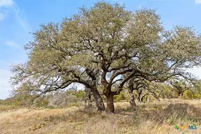 727 Becker Rd, Johnson City, TX 78636 - Photo 8