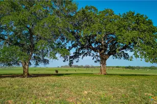 Tbd County Road 404, Floresville, TX 78114 - Photo 2