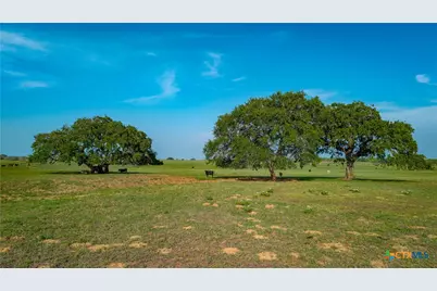 Tbd County Road 404, Floresville, TX 78114 - Photo 10