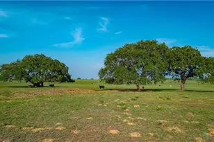 Tbd County Road 404, Floresville, TX 78114 - Photo 10