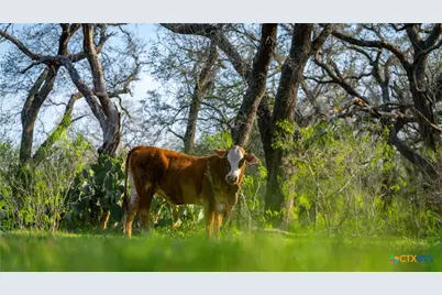 Tbd County Road 404, Floresville, TX 78114 - Photo 18