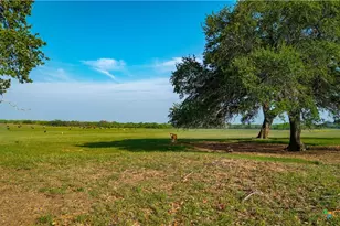 Tbd County Road 404, Floresville, TX 78114 - Photo 22