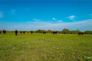 Tbd County Road 404, Floresville, TX 78114 - Photo 26