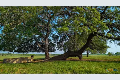Tbd County Road 404, Floresville, TX 78114 - Photo 2