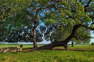 Tbd County Road 404, Floresville, TX 78114 - Photo 2