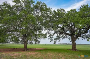 Tbd County Road 404, Floresville, TX 78114 - Photo 18