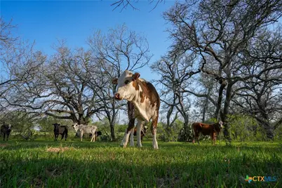 Tbd County Road 404, Floresville, TX 78114 - Photo 14