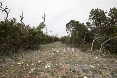 Lot 132 Shin Oak Drive, Lampasas, TX 76550 - Photo 22