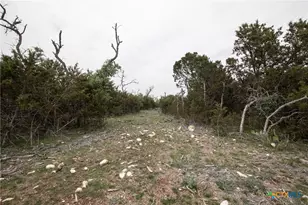 Lot 132 Shin Oak Dr, Lampasas, TX 76550 - Photo 22