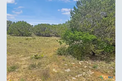 358 Blackbird Drive, Spring Branch, TX 78070 - Photo 8