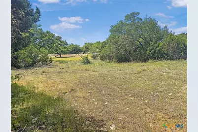 358 Blackbird Drive, Spring Branch, TX 78070 - Photo 6