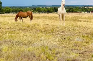 762 Co Rd 131, Gatesville, TX 76528 - Photo 40