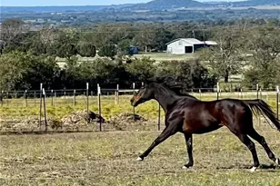 762 Co Rd 131, Gatesville, TX 76528 - Photo 12