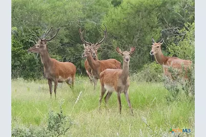6888 Old Seguin Luling Rd, Seguin, TX 78155 - Photo 2