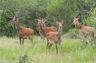 6888 Old Seguin Luling Rd, Seguin, TX 78155 - Photo 2
