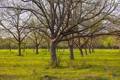 6888 Old Seguin Luling Rd, Seguin, TX 78155 - Photo 6